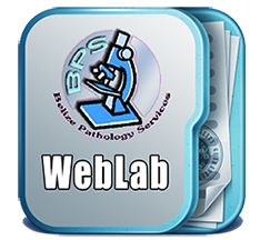 weblab